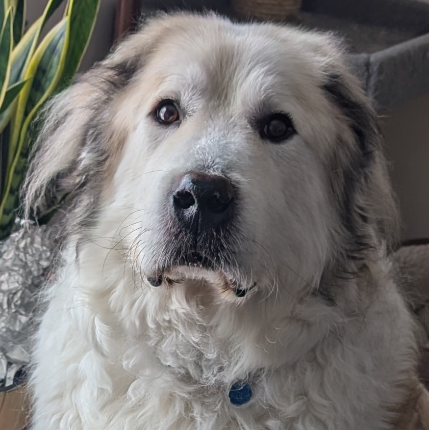 Jane Erwin eLearning Portfolio